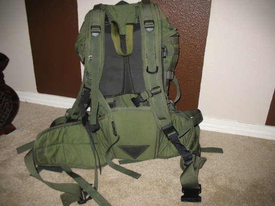 Back view of a green backpack with adjustable straps and buckles