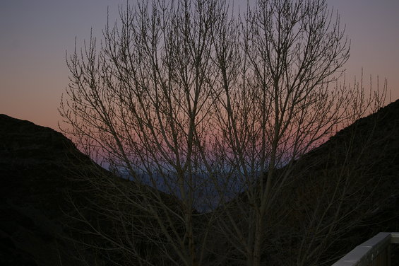 Bare tree branches fill the foreground against a gradient sunset sky of purple, pink, and orange. Dark hills frame the scene on either side