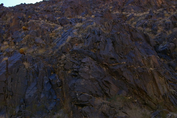 Rocky hillside with sparse vegetation and a few barrel cacti
