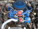1985 Ford Crown Victoria LTD - The engine bay of a 1985 Ford Crown Victoria LTD shows a blue MSD ignition system and a blue alternator.