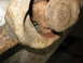 1995 Ford C-350 (Centurion Conversions) - Close-up of a heavily rusted suspension component, likely from a vehicle's front axle.