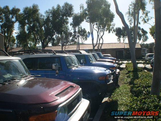 Maroon and blue Toyota FJ Cruisers parked in a row, front ends visible