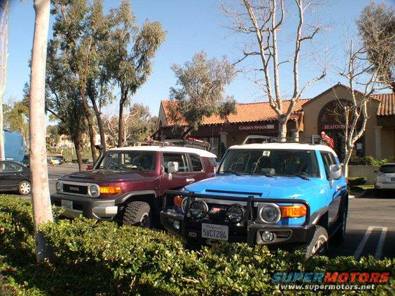 Two Toyota FJ Cruisers parked, one burgundy and one blue. The blue one has a license plate reading 5VCT284