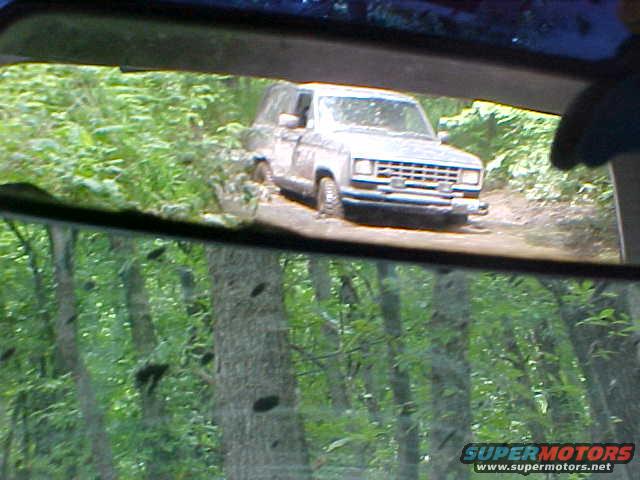 J-burl-03.JPG