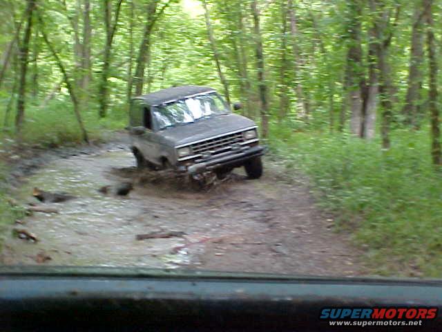 J-burl-04.JPG