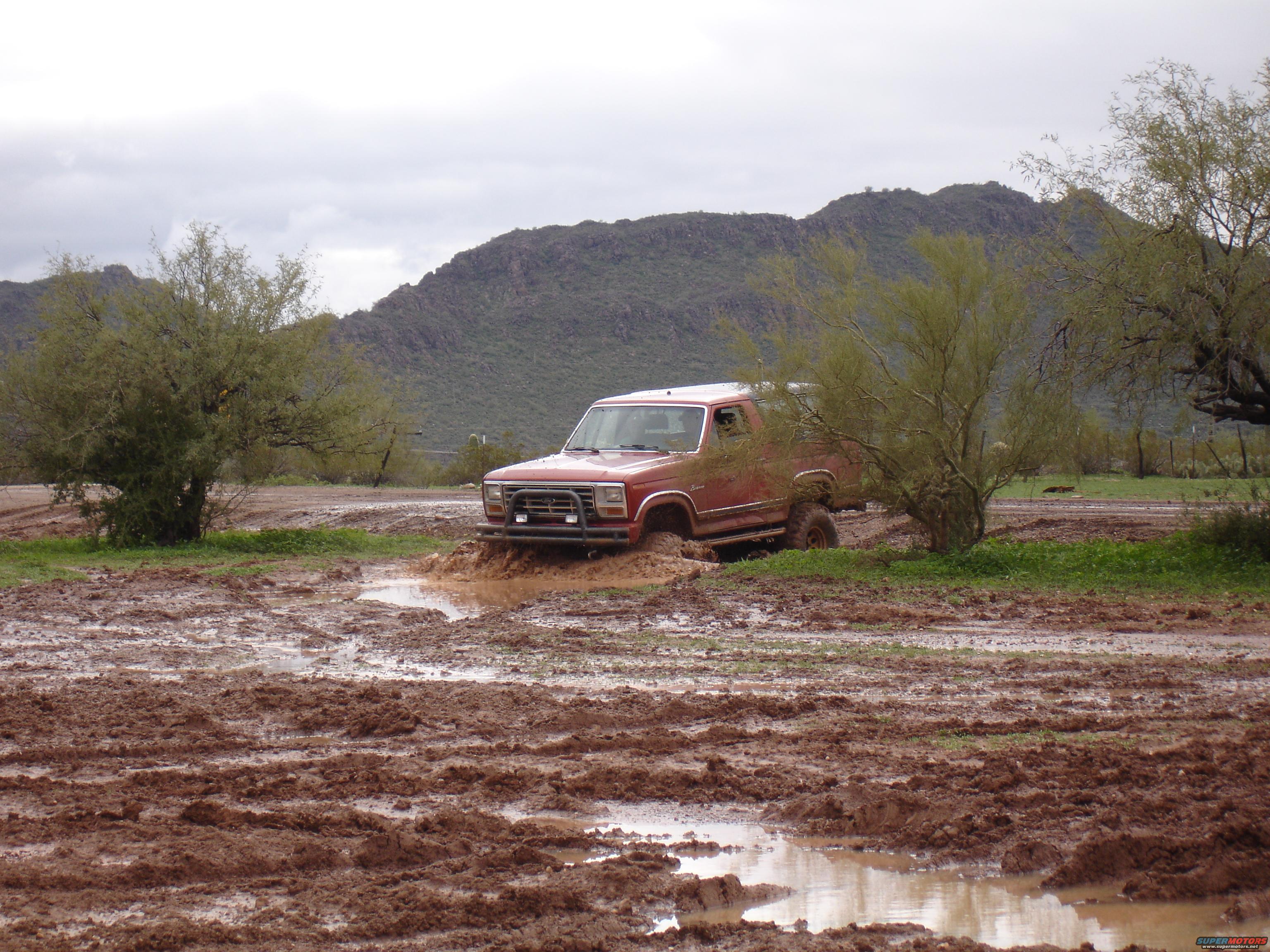 1984 Ford Bronco photo