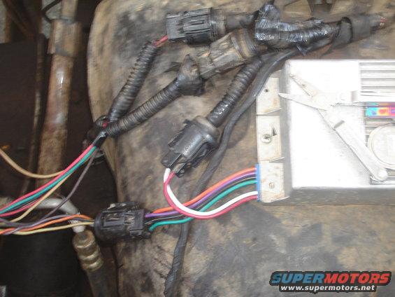 dsc02016.jpg thats the wires from the ignition modual out to the coil,dist,water temp,some sort of ground to the block.