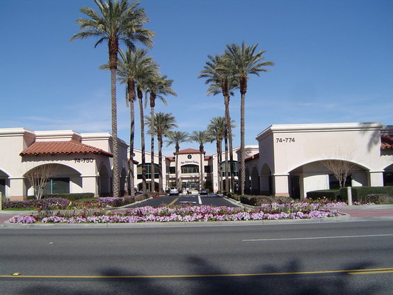 Commercial buildings with arched entrances and palm trees line a street