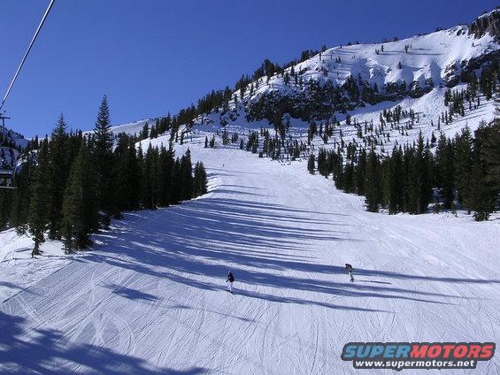 Ski slope with trees and mountains under a clear blue sky. Two skiers are visible on the slope