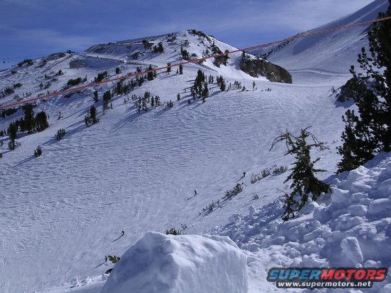 Snowy mountain slope with ski tracks and scattered pine trees under a blue sky