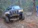 1995 Ford Bronco - I wanted to see how well the tires would do with no lift.