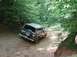 1995 Ford Bronco - A Ford Bronco navigates a wooded dirt path, showing its rear and spare tire.