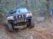 1995 Ford Bronco - avatar