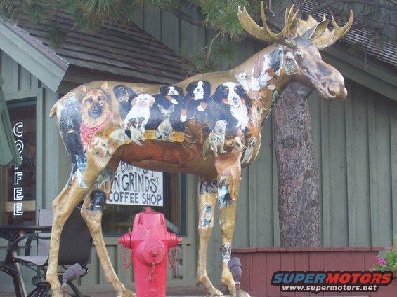 Moose statue painted with various dog breeds, standing outside a coffee shop