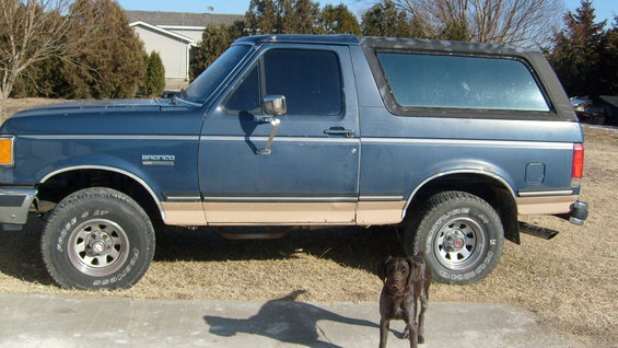 Side view of a blue Ford Bronco with tan trim and a dog standing in front
