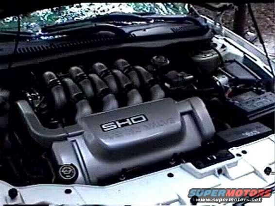 pict0074.jpg 