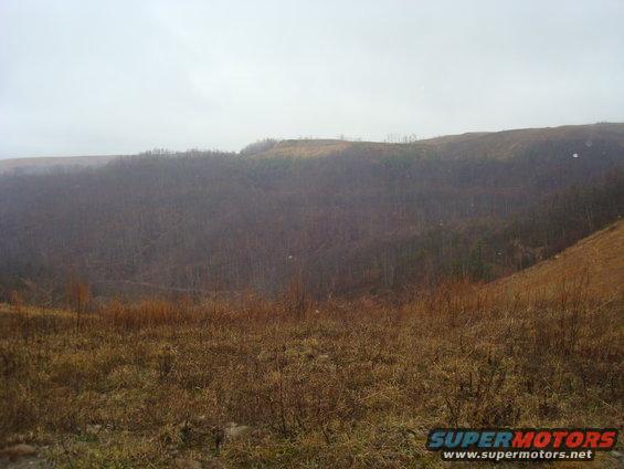 Overcast sky above a wooded hillside with dry grass in the foreground