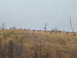 1995 Ford Bronco - A large group of elk are visible grazing on a barren hill under an overcast sky.