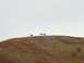 1995 Ford Bronco - Three elk are visible on a distant hill under an overcast sky.