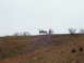 1995 Ford Bronco - Three elk stand on a ridge overlooking a dry, grassy landscape under a cloudy sky.