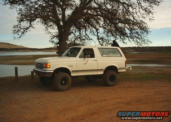 White lifted Ford Bronco parked by a lake under a large tree. A person is visible sitting on a branch