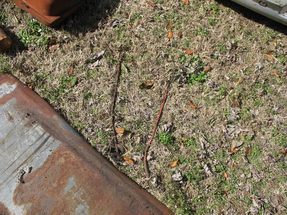Rusty metal parts on grass