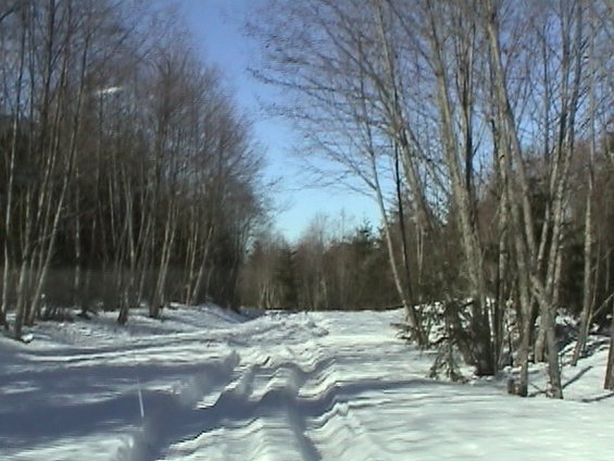 working our way down the road, If you fell off the packed snow it would most likely bury you.