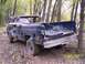 1986 Ford F-250 - rear view - as found, 3 miles down in the river bottoms.