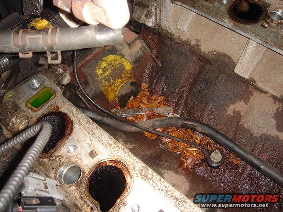 Engine intake manifold area with debris and coolant