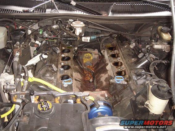Engine bay with intake manifold off, showing the cylinder heads and fuel rails. Some rust and grime visible