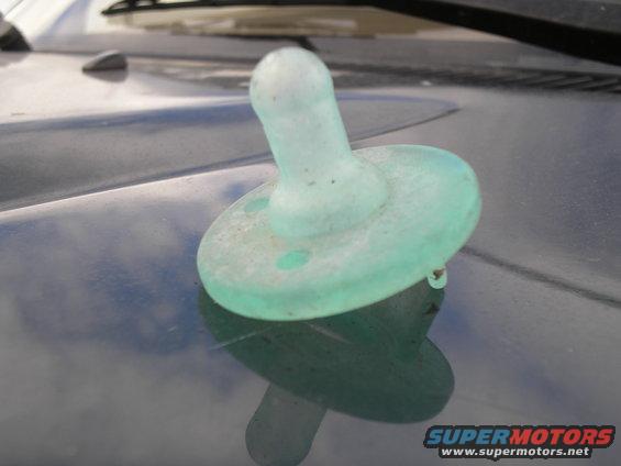 p1010026.jpg yes...its a nipple