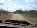 2008 International School Bus - A convoy of vehicles travels down a dirt road, kicking up dust under a cloudy sky.