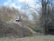 2008 International School Bus - Two off-road vehicles navigate a wooded trail on a cloudy day.