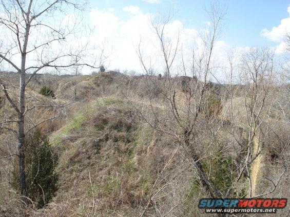 overgrown hills with bare trees and a cloudy sky