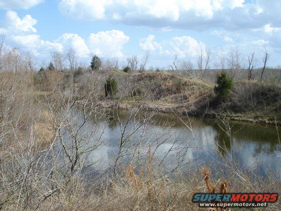 Water and bare trees under a cloudy sky