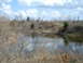 2008 International School Bus - A body of water is surrounded by dry brush and trees under a partly cloudy sky.