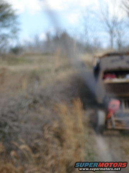 Side view of a school bus in a field