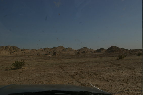 Desert landscape with rolling hills and sparse vegetation under a clear blue sky. Tire tracks are visible in the sand