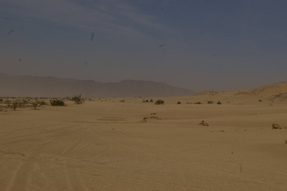 Several off-road vehicles drive across a sandy desert with mountains in the background