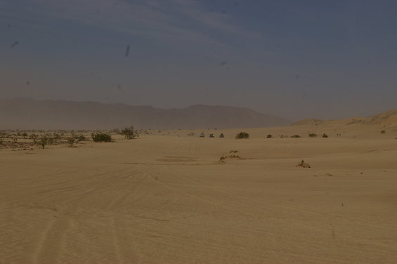 Several off-road vehicles traverse a sandy desert with sparse vegetation and distant mountains