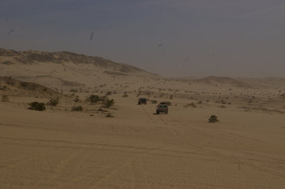 Three SUVs driving on sand dunes under a hazy sky