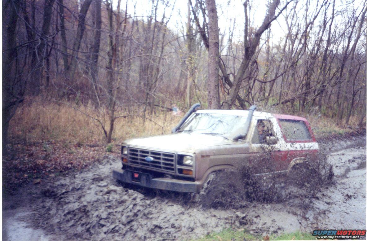 1982 Ford Bronco photo