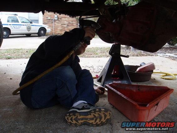 A few pics of my helper working on the 9 inch, getting ready to install gears and locker.