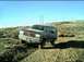 1989 Ford Bronco - This SUV, likely a 1987-1991 Ford Bronco, navigates a dirt path on a sunny day.