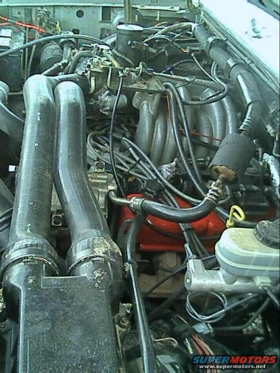 another pic of 351