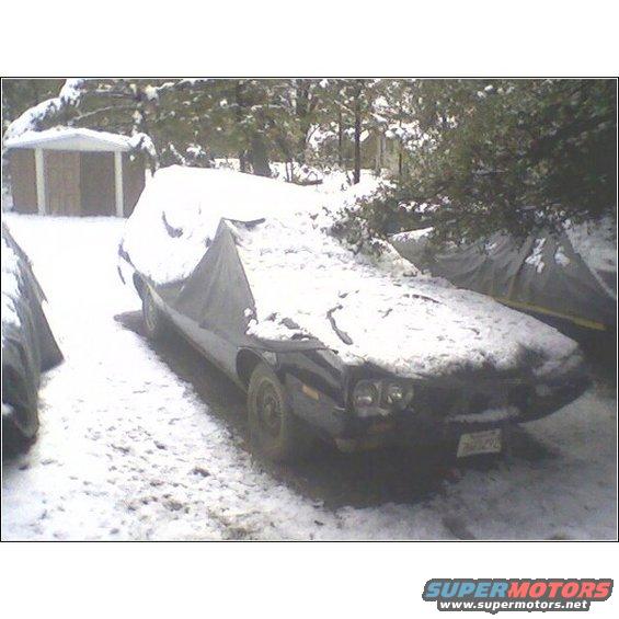 Car covered by a tarp and snow in a driveway with trees and a shed in the background