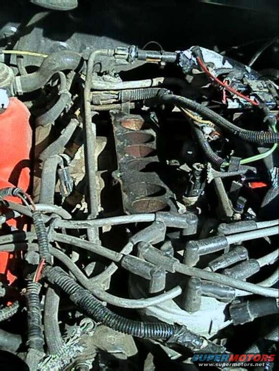 lower intake view