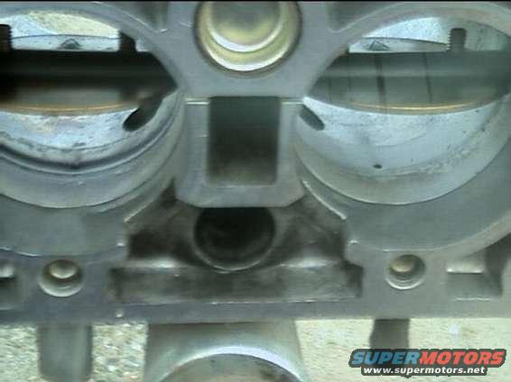 throttle_body_butterflies.jpg Left side shows gunk, right side is already cleaned...big difference