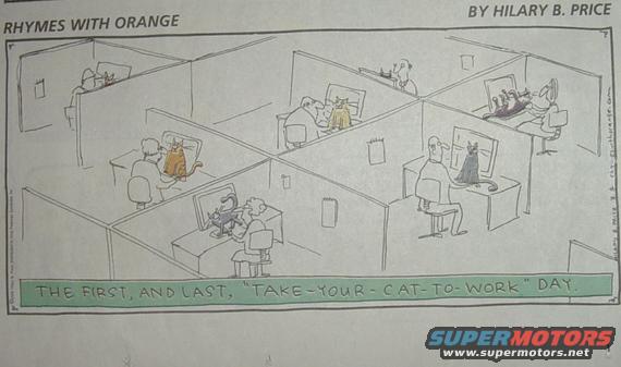 Cartoon of office cubicles with people and cats, captioned 'The first, and last, "take-your-cat-to-work" day.'