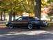 2001 Ford Crown Victoria - A black sedan sits parked on a road surrounded by trees displaying autumn colors.